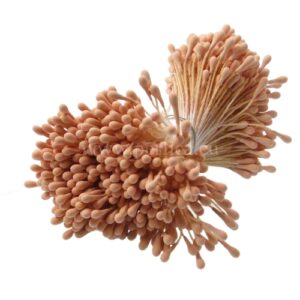 Pistile 144 kom,  breskva mat