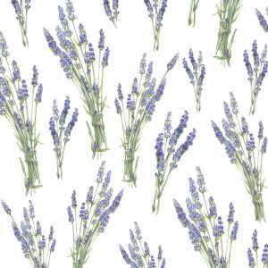 Salveta Mazzetti di Lavanda CL14