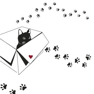 Salveta Atelier Chat ZC61