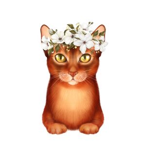 Salveta Lady Cat ZC61