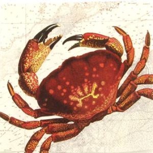 Salveta Red Crab MO17