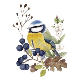 Salveta Oiseau en Nature PT1