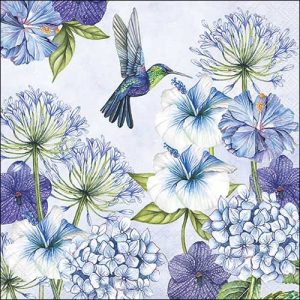Salveta Hummingbird C73