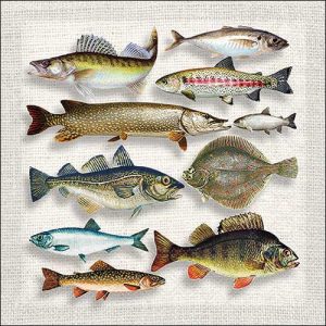 Salveta Fish Variety MO14