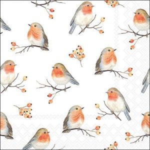 Salveta Robin Family PT15