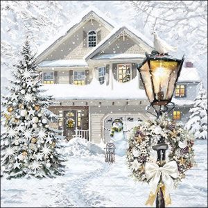 Salveta Christmas house ZI16-ZI66