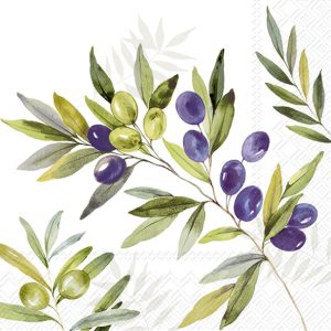 Salveta Olive branches MAS5