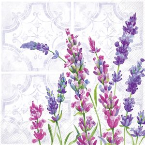 Salveta Lavanda lavender CL18