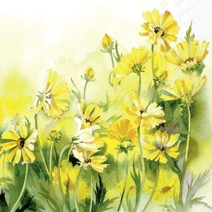 Salveta Sunny Wildflowers C96