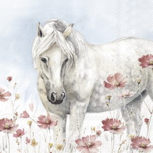 Salveta Wild Horse ZMK1