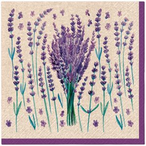Salveta Lavender CL17