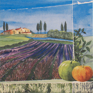 Salveta Lavender Fields CL9