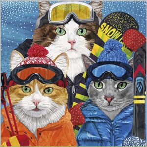 Salveta Ski Cats ZC5