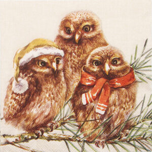 Salveta Winter Owls ZI33