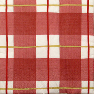 Salveta Red Pattern ZI23