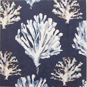 Salveta Coral blue MO12