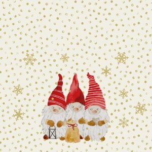 Salveta Stars & Snowflakes ZI24
