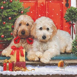 Salveta Dogs at the door ZI71