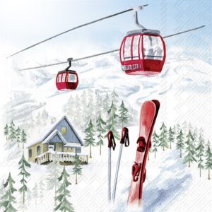 Salveta Snowy Holidays SR6