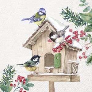 Salveta Birds meeting point ZI72
