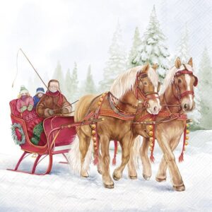 Salveta Winter sleigh ride ZI53