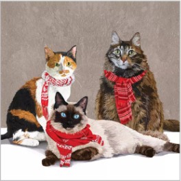 Salveta Scarf cats ZI41