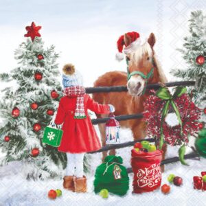Salveta Horse girl ZI67