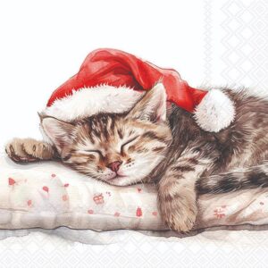 Salveta Dreaming about x-mass ZI41