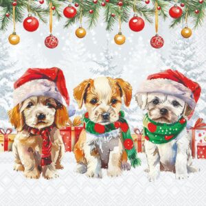 Salveta Funny cute puppies ZI41