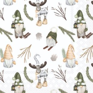 Salveta Forest Gnomes ZI67