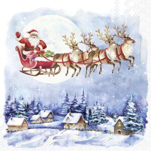 Salveta Santa's wonderland ZI26