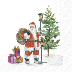 Salveta Santa is on the way ZI41