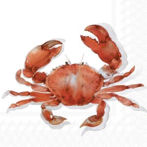 Salveta Crab coral MO10