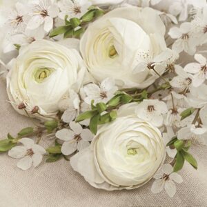 Salveta White Buttercups composition C34