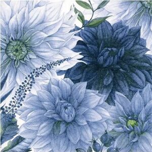 Salveta Claudette navy C27