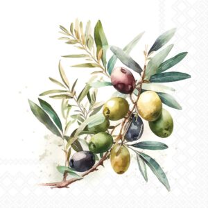 Salveta Olive branch MAS8