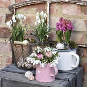 Salveta Winter Flowers C75