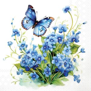Salveta Forget me not C77