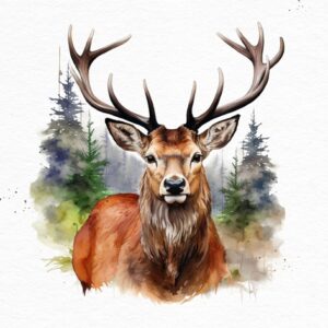 Salveta Cabeza de Venado ZSU11