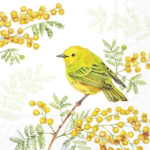 Salveta Joy of spring PT8