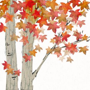 Salveta Leaves are falling CJ1