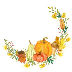 Salveta Pumpkin flaire white CJ10