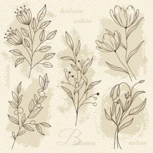 Salveta Beige Flower Illustration on Watercolour Paper C71
