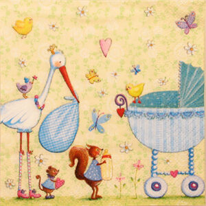 Salveta Welcome baby D33