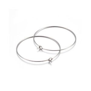 Ring za naušnice od nehrđajućeg čelika SS316, 20 x 0,7 mm, 4 kom, boja:inox