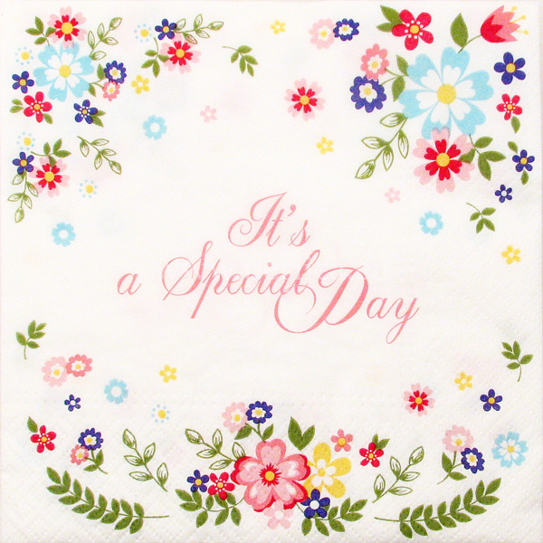 Salveta "It is special day" LN2
