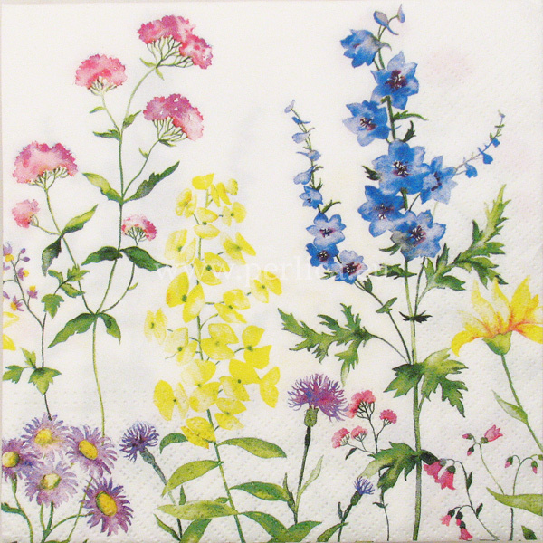 Salveta "Flowers 2" C56