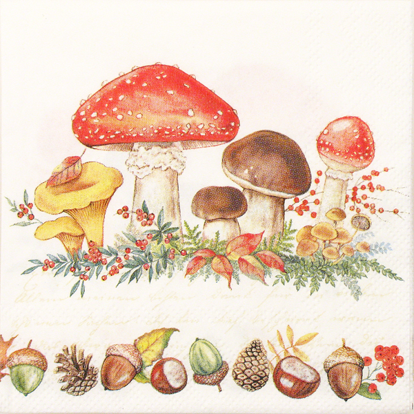 Salveta Mushrooms VP2