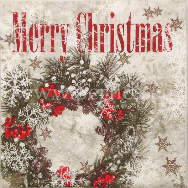 Salveta Merry Christmas ZI11