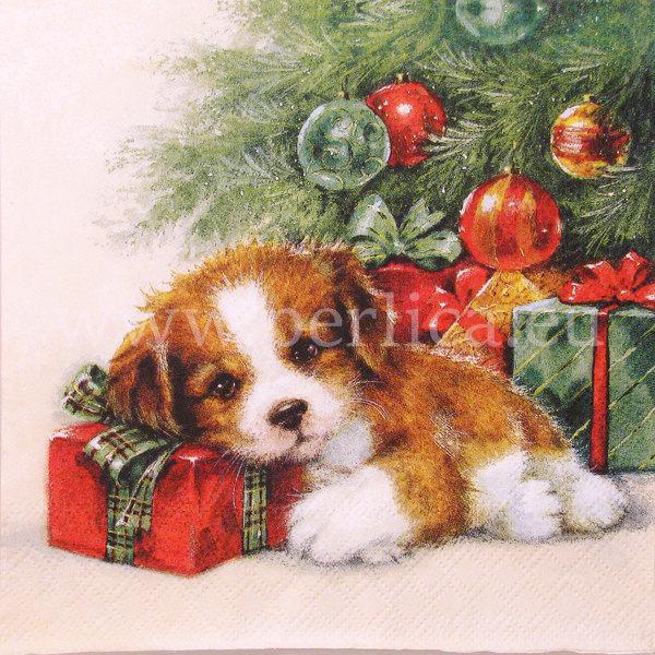 Salveta Gift Guard ZI12